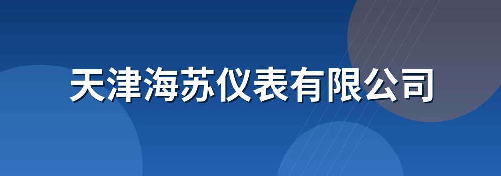 天津海苏仪表有限公司