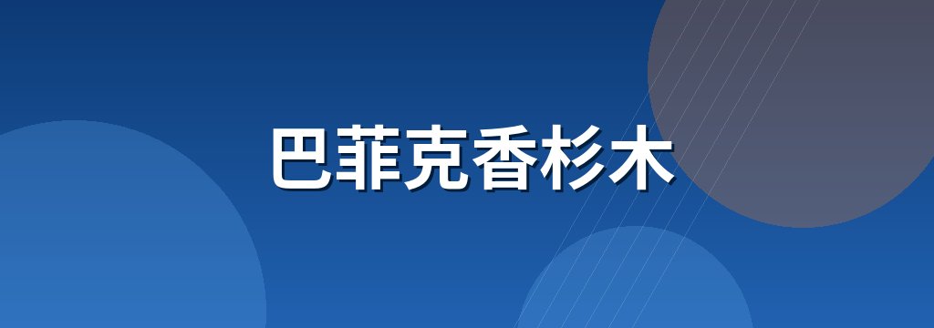 巴菲克香杉木