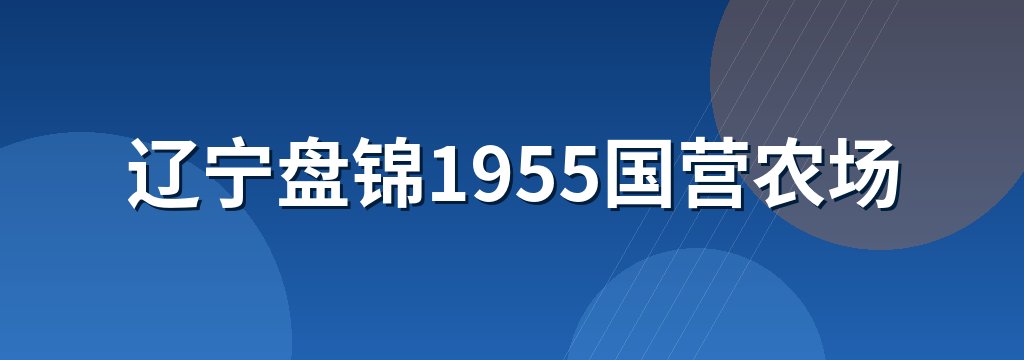 辽宁盘锦1955国营农场