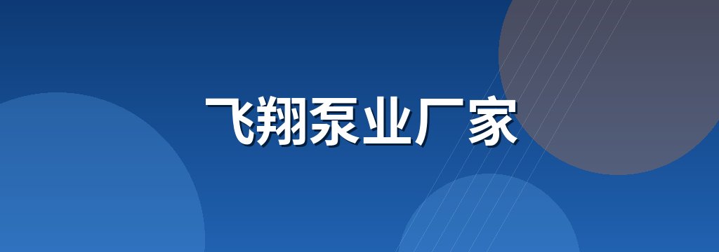 飞翔泵业厂家