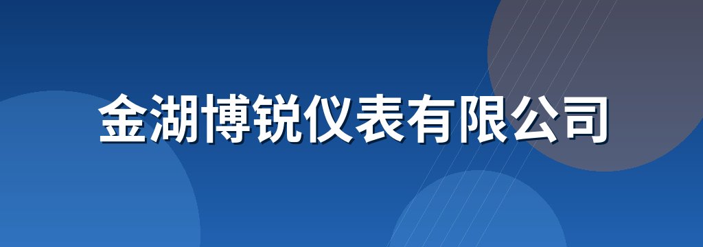 金湖博锐仪表有限公司