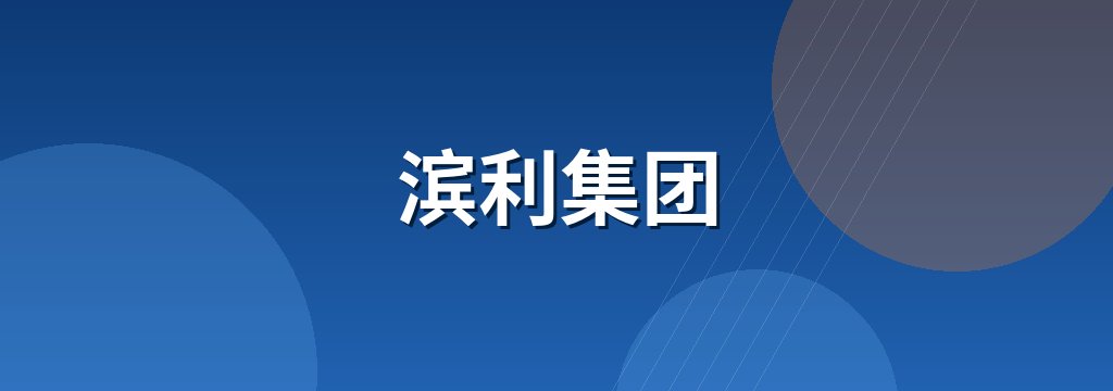 滨利集团